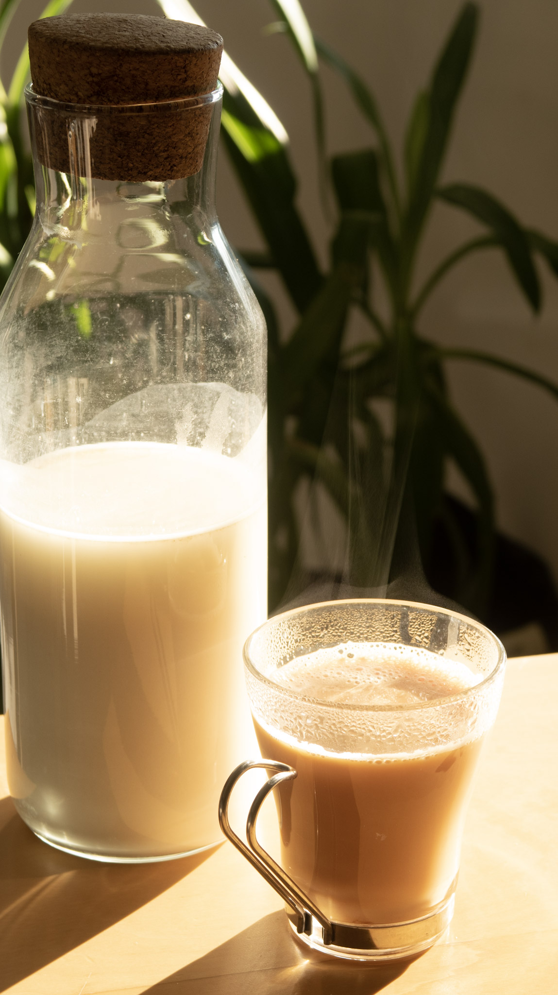 vegan chai with oat milk