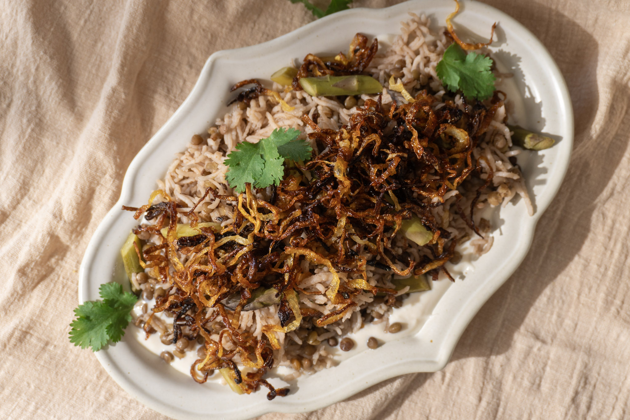 Top shot of Mujadara recipe garnished with caramelized onions and chopped corriander